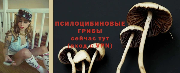 прущий лед Арсеньев