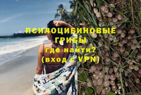 mdpv Аркадак